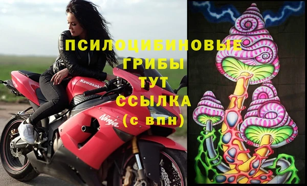 МДПВ Верхний Тагил