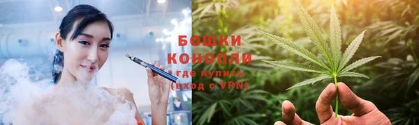 МДПВ Верхний Тагил